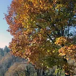 Ca'becca Bioglio- Il Portico Sulla Valle
