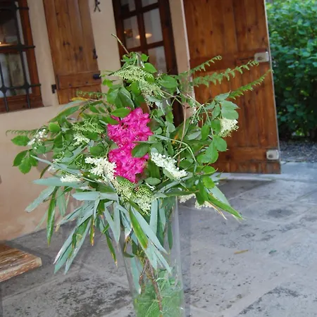 Ca'becca Bioglio- Il Portico Sulla Valle Villa Valle San Nicolao
