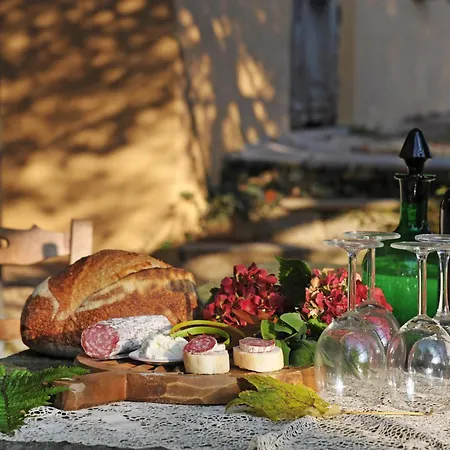 Ca'becca Bioglio- Il Portico Sulla Valle فيلة Valle San Nicolao