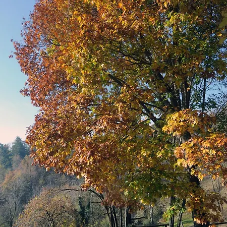 Ca'becca Bioglio- Il Portico Sulla Valle