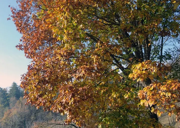 Ca'becca Bioglio- Il Portico Sulla Valle